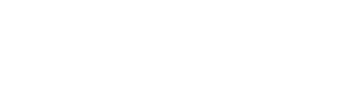 terrifix-ai-logo-light